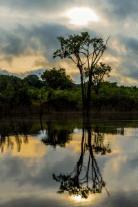 Operadores do mercado mexicano aprendem a ‘vender’ o turismo do Amazonas﻿