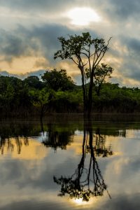 Operadores do mercado mexicano aprendem a ‘vender’ o turismo do Amazonas﻿