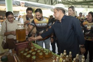 Doce turismo: Boa Vista do Ramos é destino de produção de mel