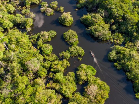 Amazonas, destino amado pelos famosos: 20 vezes que artistas e influenciadores conheceram o estado