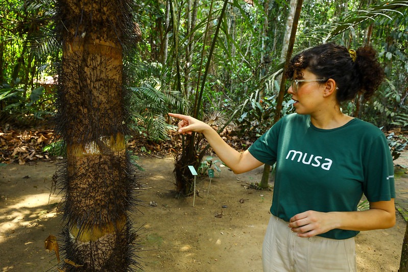 Musa é santuário para conhecer a flora amazônica no Dia da Árvore