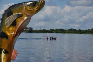 Imagem da notícia - Amazonastur traça estratégias para atrair novos visitantes espanhóis ao estado