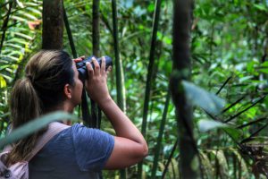 Imagem da notícia - Técnicos da Amazonastur vivenciam o dia a dia do birdwatching para promover atividade em feira