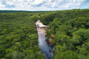 Imagem da notícia - Jornalistas europeus se encantam com atrativos turísticos do Amazonas