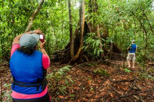 Imagem da notícia - Atividades de ecoturismo são retomadas em 10 Unidades de Conservação