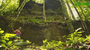 Imagem da notícia - Campanha digital coloca Amazonas como destino para turistas pós-pandemia﻿