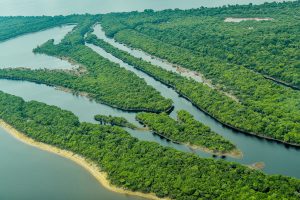 Imagem da notícia - Elaboração do Plano Estadual de Turismo do Amazonas entra em nova fase