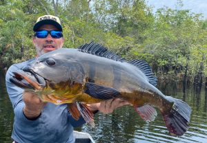 Imagem da notícia - Em Barcelos, crescimento na movimentação turística em busca de pesca esportiva aponta retomada da atividade