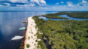 Imagem da notícia - Parque Nacional de Anavilhanas: conheça o arquipélago fluvial reconhecido como Patrimônio Natural da Humanidade