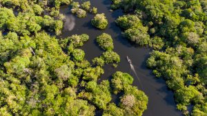 Imagem da notícia - Três municípios do AM concluem cadastro no sistema do Mapa do Turismo Brasileiro