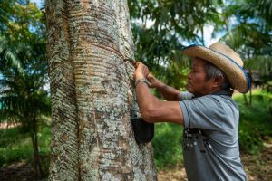 Imagem da notícia - Turismo em Movimento: visitas técnicas e treinamento marcam o primeiro dia em Itacoatiara