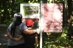 Imagem da notícia - Amazonastur destaca atividades para os últimos dias de férias da garotada