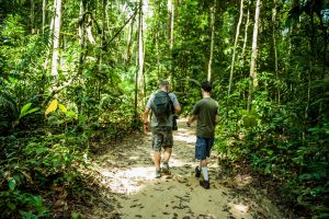 Imagem da notícia - Dia Mundial do Ecoturismo: Amazonastur destaca iniciativas de turismo aliado ao meio ambiente