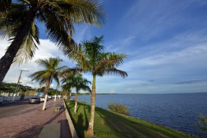 Imagem da notícia - Roteiro em Maués: Cidade do Amazonas é famosa pela produção de guaraná