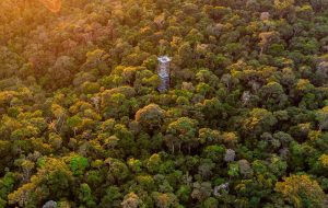 Imagem da notícia - Atrações turísticas e meios de hospedagem do Amazonas recebem selo “Melhores dos Melhores 2023” do TripAdvisor