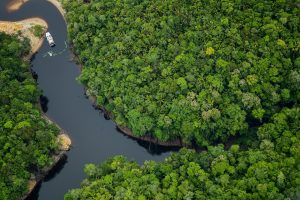 Imagem da notícia - Amazonas é o melhor lugar do mundo para o ecoturismo, aponta a revista americana Forbes