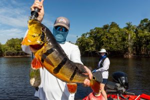 Imagem da notícia - Temporada de pesca esportiva deve atrair 30 mil turistas ao Amazonas