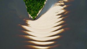 Imagem da notícia - Conheça praias inexploradas e paradisíacas do Amazonas