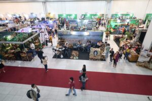Imagem da notícia - Municípios do Amazonas mostram potencialidades no III Festival Amazonas de Turismo e 3ª Conta 