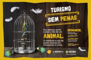 Imagem da notícia - Festival de Parintins 2025: Amazonastur reforça campanha “Turismo sem Penas” para prevenir uso ilegal de penas naturais
