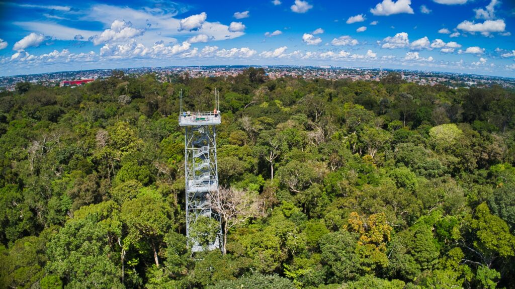 WhatsApp Image 2026 01 19 at 11.33.26