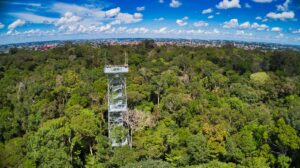 Imagem da notícia - Manaus abre 2026 no ‘Top 5’ dos melhores destinos para viajar no Brasil